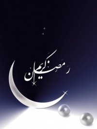Dmdm (11)