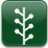 Dmdm (23)