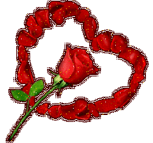 Dmdm (28)
