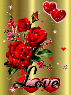 Dmdm (6)